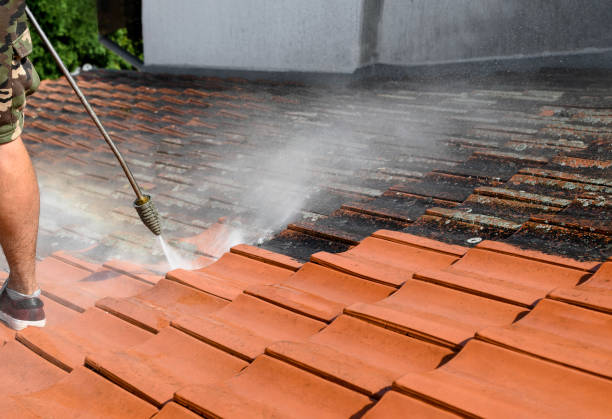 Best Affordable Power Washing  in Williamstown, WV