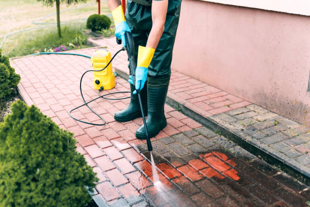 Best Exterior Home Cleaning  in Williamstown, WV