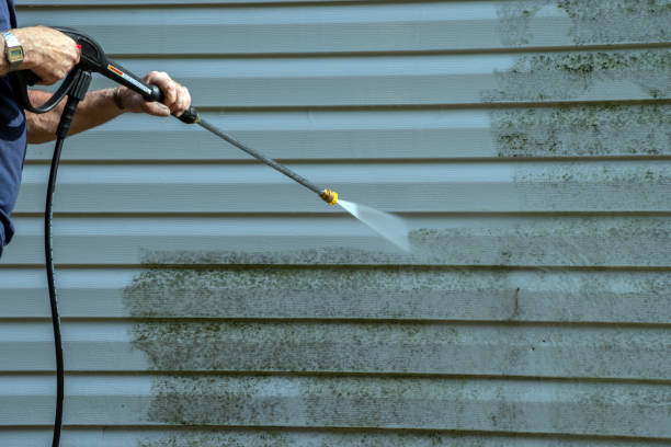 Best Sidewalk Pressure Washing  in Williamstown, WV