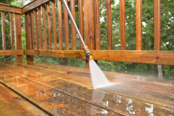 Best Roof Power Washing Services  in Williamstown, WV